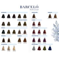 Carta-de-Color-Barcelo