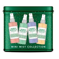 Mini-Mist-Kit-Picture